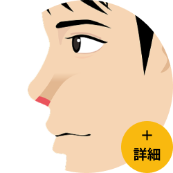 鼻毛脱毛オプションの照射範囲