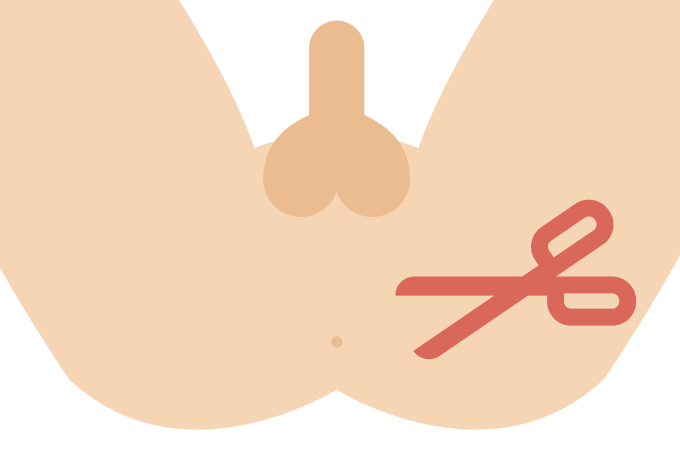 STEP（1）長い毛をはさみで切る