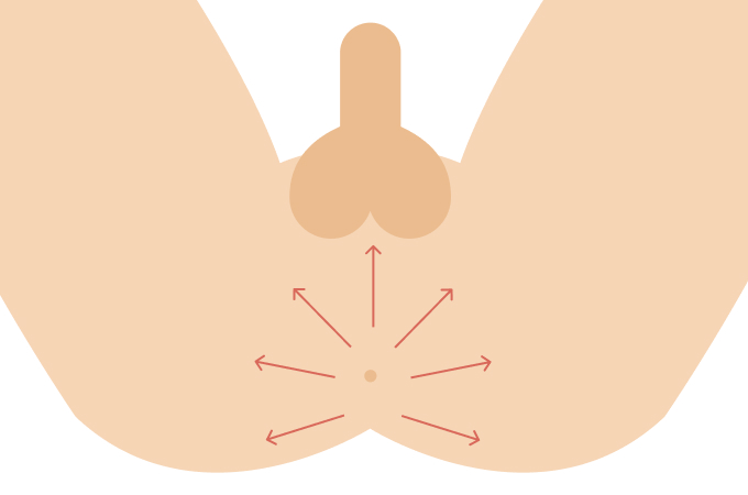 STEP（3）内側から外側に広めに剃る