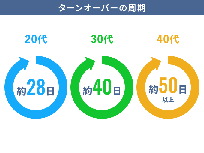 ターンオーバーの周期