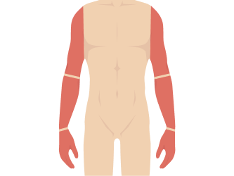 腕まわり