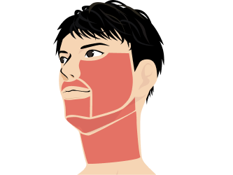 ヒゲ