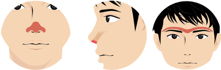 顔全体オプション