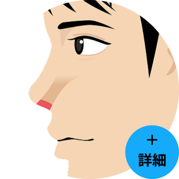 イラスト：鼻毛脱毛オプション