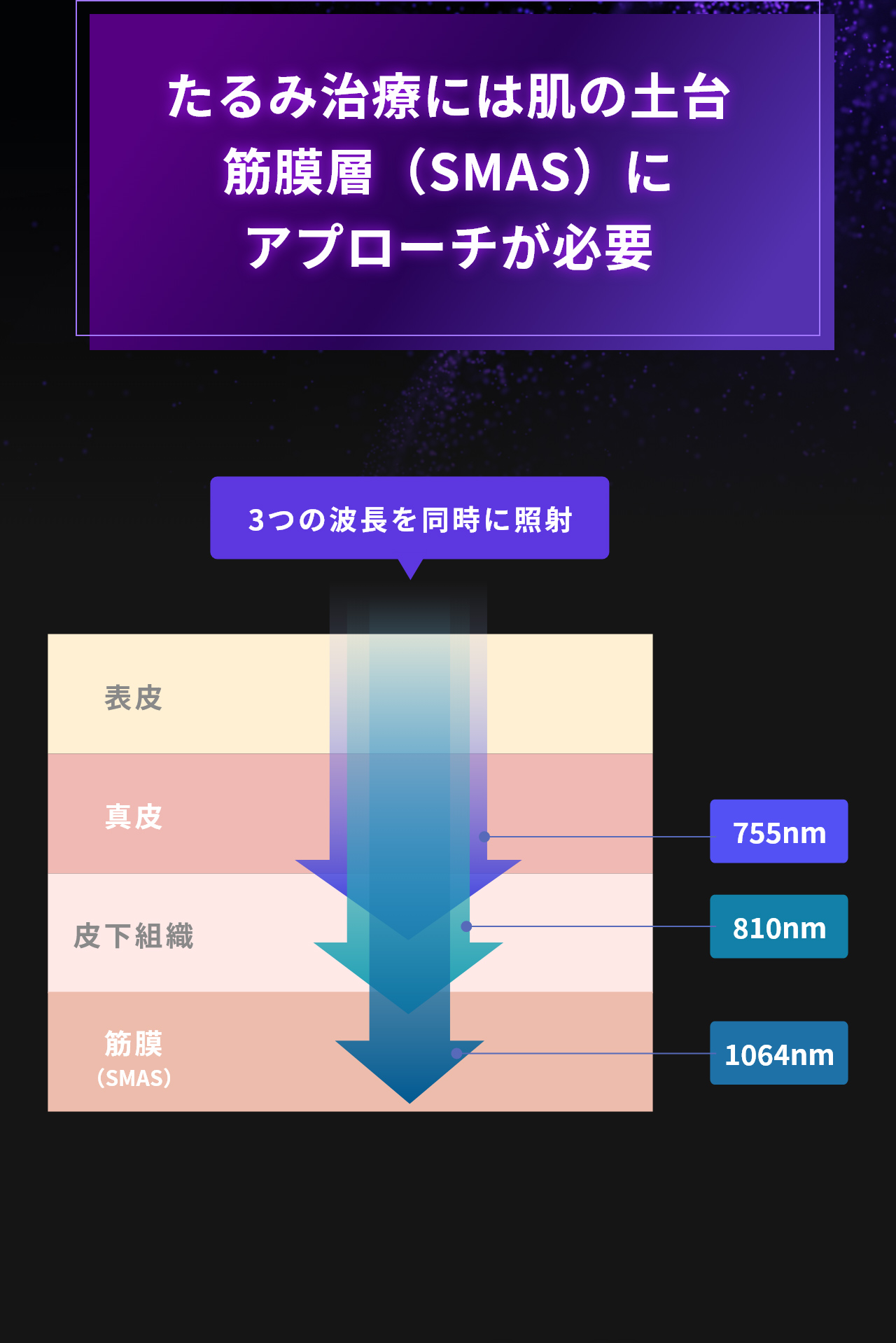 たるみ治療には肌の土台筋膜糟（SMAS）にアプローチが必要