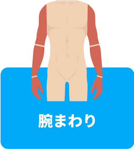 腕まわり
